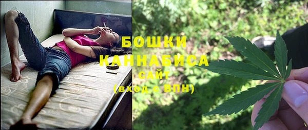 дурь Переславль-Залесский