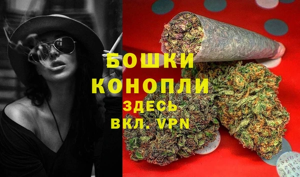 PSILOCYBIN Волосово